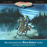 Wie Gott durch ein Gewitter wirkte und andere Andachtsgeschichten: Auf Fels gebaut - Band 1 (Abridged)