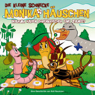 41: Warum haben Ohrenkriecher eine Zange? (Abridged)