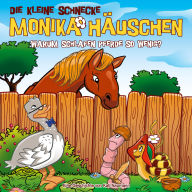 63: Warum schlafen Pferde so wenig? (Abridged)