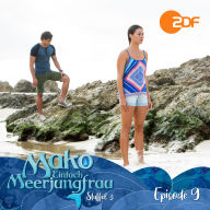 Episode 9: Es ist wie es ist: Das Original-Hörspiel zur TV-Serie