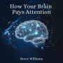 How Your Brain Pays Attention: Unlocking the Secrets to Focus and Success