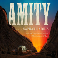 Amity: A Novel
