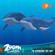 Zoom - Der weiße Delfin: TV Episode 37-40: Das Original-Hörspiel zur TV-Serie