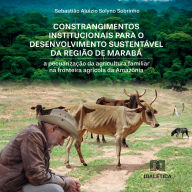 Constrangimentos institucionais para o desenvolvimento sustentável da região de Marabá: a pecuarização da agricultura familiar na fronteira agrícola da Amazônia (Abridged)