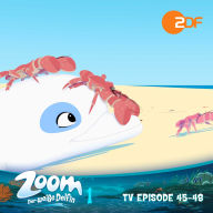 Zoom - Der weiße Delfin: TV Episode 45-48: Das Original-Hörspiel zur TV-Serie