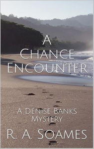 A Chance Encounter: A Denise Banks Mystery
