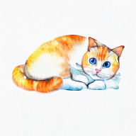 Rest Is Resistance: Group Discussion