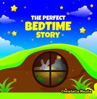 The Perfect Bedtime Story