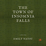 The Town of Insomnia Falls