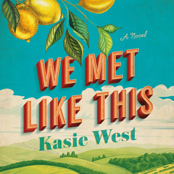 We Met Like This: A Novel