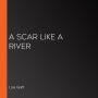 A Scar like a River