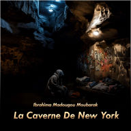 La Caverne De New York: La vie d'un Sans-abris