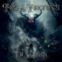 Fog & Fireflies