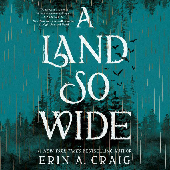 A Land So Wide: A Novel