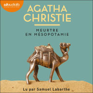 Meurtre en Mésopotamie