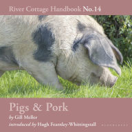 Pigs & Pork: River Cottage Handbook No.14