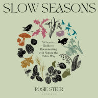 Slow Seasons: A Creative Guide to Reconnecting with Nature the Celtic Way