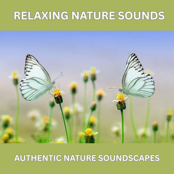 Relaxing Nature Sounds - Over 10 Hours of Pure Natural Ambience (Without Music): Authentic Nature Soundscapes for Deep Relaxation, Sleep, Meditation, Stress Relief & a Calm Home Atmosphere