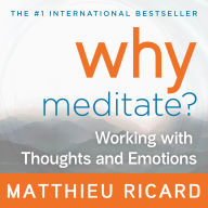 Why Meditate: Working with Thoughts and Emotions