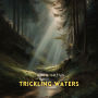 Trickling Waters: Gentle Stream Sounds in a Quiet Conifer Forest