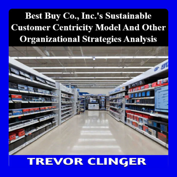 Best Buy Co., Inc.'s Sustainable Customer Centricity Model and Organizational Strategy Analysis