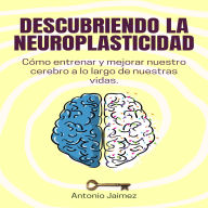 Descubriendo la Neuroplasticidad: Cómo entrenar y mejorar nuestro cerebro a lo largo de nuestras vidas.