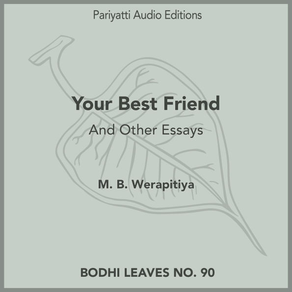 Your Best Friend: And Other Essays