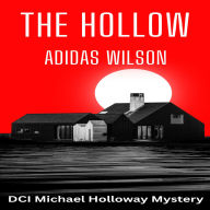 The Hollow: DCI Michael Holloway Mystery