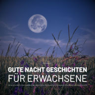 Traumhafte Gute Nacht Geschichten für Erwachsene: Die besten Meditationen, Gedankenreisen & Visualisierungen zum Entspannen, Einschlafen & Durchschlafen