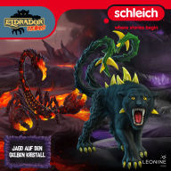 Download free ebooks online nook Folge 22: Jagd auf den gelben Kristall