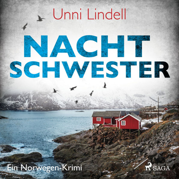 Nachtschwester - Ein Norwegen-Krimi