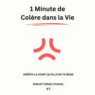 1 Minute de Colère dans la Vie: Arrête-la Avant qu'Elle ne te Brise