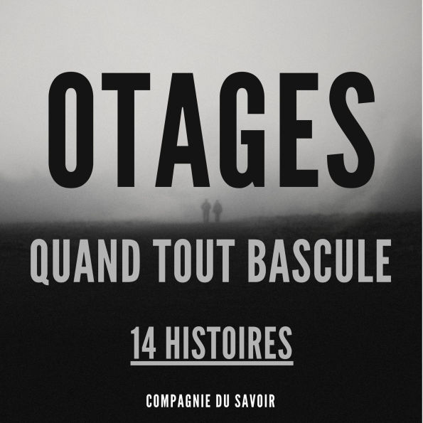 Otages - 14 histoires: Quand Tout Bascule