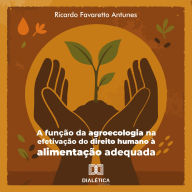 A função da agroecologia na efetivação do direito humano à alimentação adequada