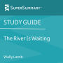 Study Guide: The River Is Waiting by Wally Lamb (SuperSummary)