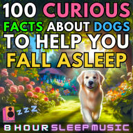 100 Curious Facts About Dogs to Help You Fall Asleep