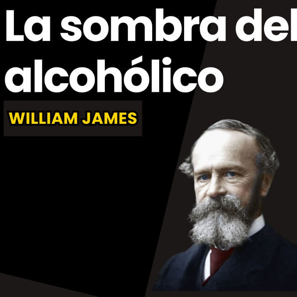 La sombra del alcohólico: Temas Espirituales