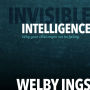 Invisible Intelligence: Why your child might not be failing