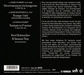 Alternative view 2 of Franz Schubert, Leonid Desyatnikov
