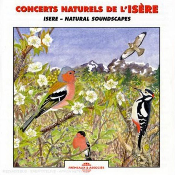 Sounds of Nature: Birds - Natural Soundscapes