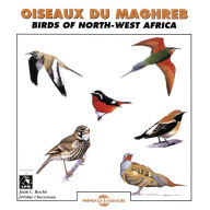 Title: Oiseaux du Maghreb: Birds of N.W. Africa, Artist: Jean-Claude Roche