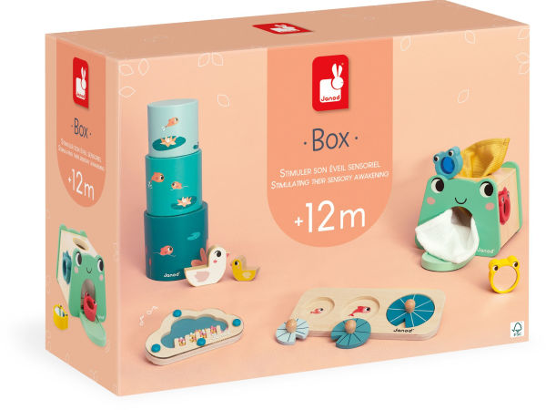 Developmental Activity Box - 12 Months