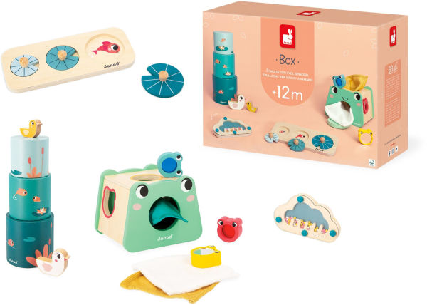 Developmental Activity Box - 12 Months