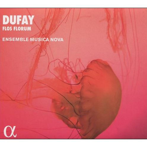 Dufay: Flos Florum