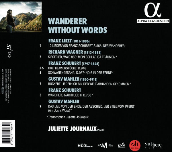 Wanderer Without Words