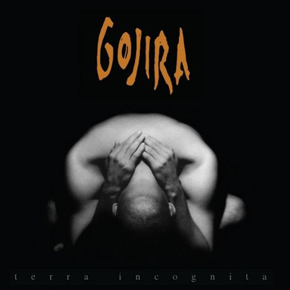 Terra Incognita [LP]