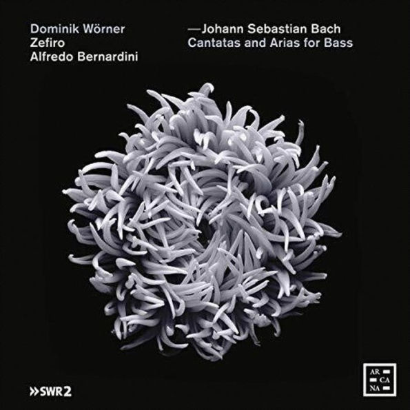 Johann Sebastian Bach: Cantatas and Arias for Bass