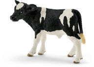 Title: Holstein calf