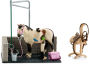 Schleich Horse Wash Area