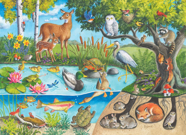 Above & Below Ground 60 piece Puzzle